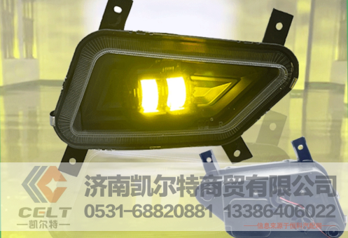 DZ93189723013,前雾灯总成(左),济南凯尔特商贸有限公司