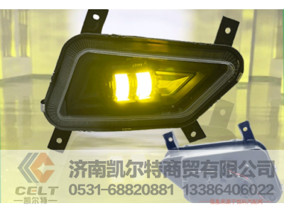 DZ93189723013,前雾灯总成(左),济南凯尔特商贸有限公司