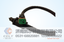 FS19732,兩插帶線傳感器,濟(jì)南凱爾特商貿(mào)有限公司