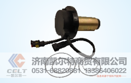 SE135凯尔特