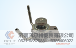 FS36299凯尔特