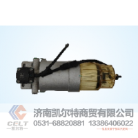 FS20190凯尔特