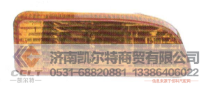 WY2118110301L凯尔特