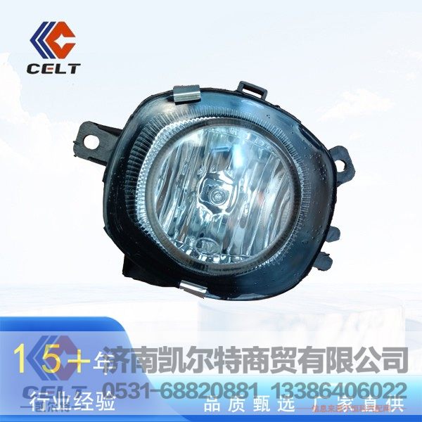 陕汽配件DZ93189723013 德龙F3000圆雾灯 外贸出口