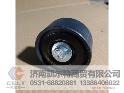 202V95800-6098Z,轴承,济南凯尔特商贸有限公司