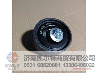 202V95800-6098Z,轴承,济南凯尔特商贸有限公司