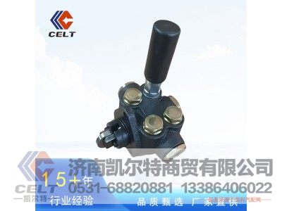 VG1500080100,输油泵总成(重油图号S311-000),济南凯尔特商贸有限公司