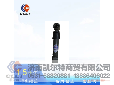 ,前悬减震器总成(HOW0螺旋弹簧) WG1642430285主图,济南凯尔特商贸有限公司
