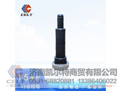 1613571810,活塞杆,济南凯尔特商贸有限公司