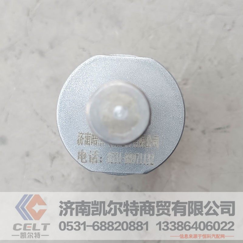 c3950549l1903hba,活塞销,济南凯尔特商贸有限公司