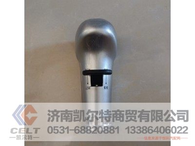 WG9700240022,变速器换挡手柄及挡位标牌总成(12挡),济南凯尔特商贸有限公司
