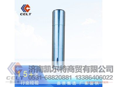 HD95009410054,转向节主销,济南凯尔特商贸有限公司