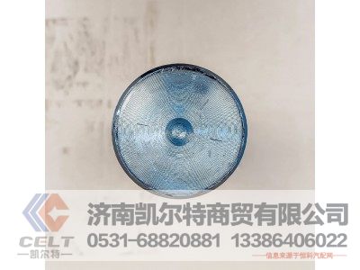 HD95009410054,转向节主销,济南凯尔特商贸有限公司