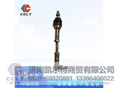 WG2229210041,支撑杆总成,济南凯尔特商贸有限公司