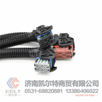76PECU凯尔特