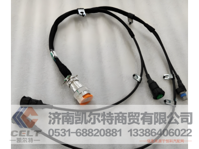 QSM11-186,发动机转接线束,济南凯尔特商贸有限公司