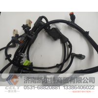 供应陕汽德龙X3000驾驶室线束F3000底盘线束潍柴发动机线束车门