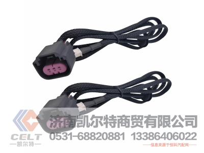 RZ2100CK9GFTZGBA1218,线束,济南凯尔特商贸有限公司
