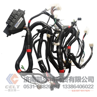 611600090001潍柴重卡WP10HP12P13发电机总成 发动机线束批发
