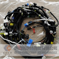 供应陕汽德龙新M3000发动机线束潍柴WP12发动机线束