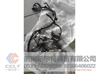 410800190056,发动机线束,济南凯尔特商贸有限公司