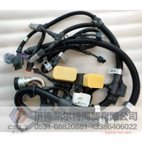 重汽陕汽潍柴发动机 外贸出口解放配件 612600190463发动机线束