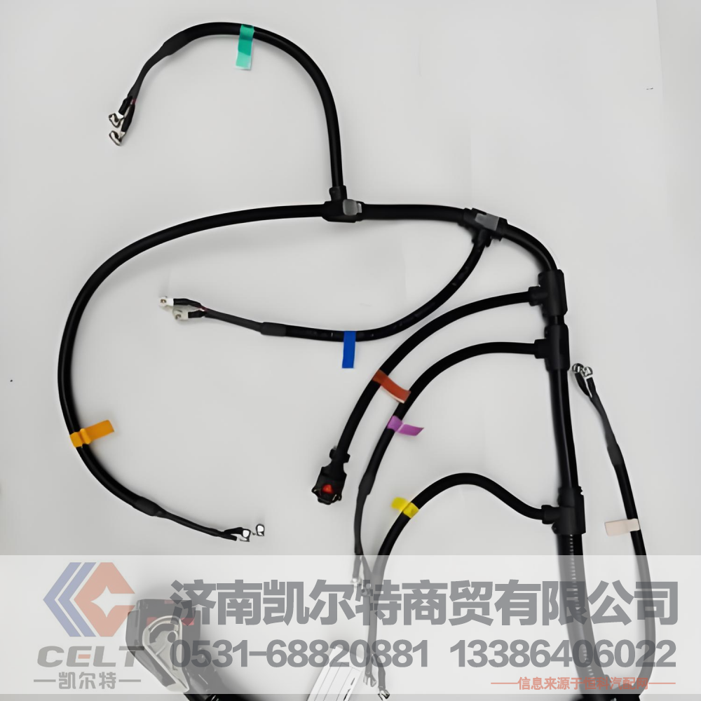 1001276421凯尔特