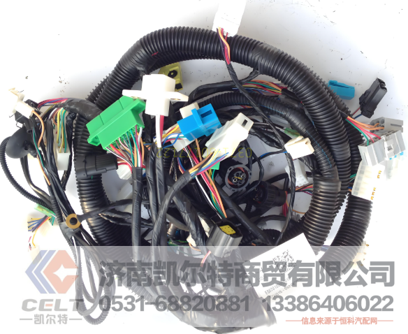 1000713086凯尔特