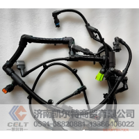 612630080072潍柴重卡WP12喷油器线束 发动机线束批发