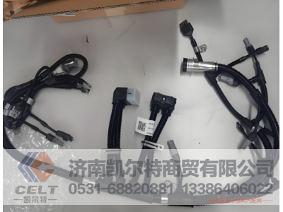 612630080072,喷油器线束,济南凯尔特商贸有限公司