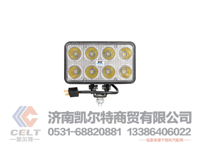 811W25101-6002,前照灯总成(右/金属保险杠),济南凯尔特商贸有限公司