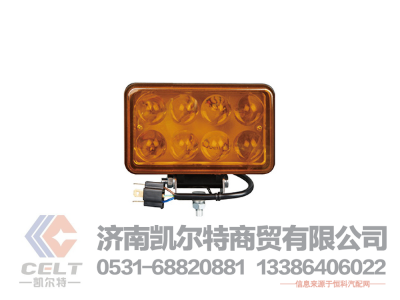 811W25101-6002,前照灯总成(右/金属保险杠),济南凯尔特商贸有限公司