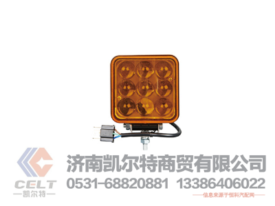 WG9925810002/4,后照灯,济南凯尔特商贸有限公司