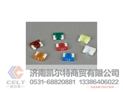 51520A,保險(xiǎn)片,濟(jì)南凱爾特商貿(mào)有限公司