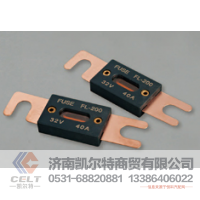 供应汽车平板式保险丝/片/螺栓型电瓶大电流叉栓式保险丝