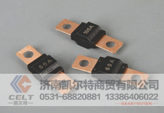 WG9100583001凯尔特