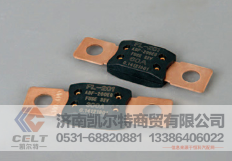 51520A凯尔特