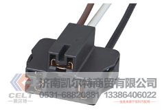 WG9925720001,燈座,濟(jì)南凱爾特商貿(mào)有限公司