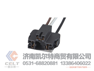 WG9925720001,燈座,濟(jì)南凱爾特商貿(mào)有限公司