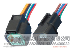 WG9925720001凯尔特