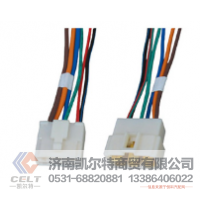 WG9925720001凯尔特