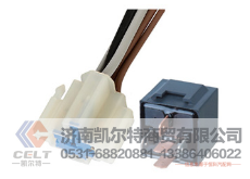 WG9925720001凯尔特
