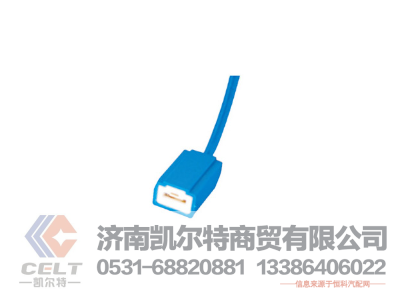 WG9925720001,灯座,济南凯尔特商贸有限公司