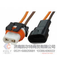 WG9925720001凯尔特