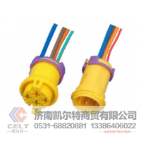 WG9925720001凯尔特