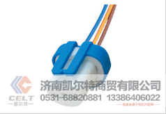 WG9925720001凯尔特