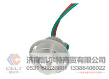 WG9925720001凯尔特