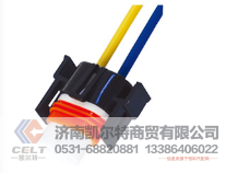 WG9925720001凯尔特