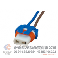 现货批发 专业重型汽车配件豪沃陕汽H3000卡车零件泡式车灯灯座