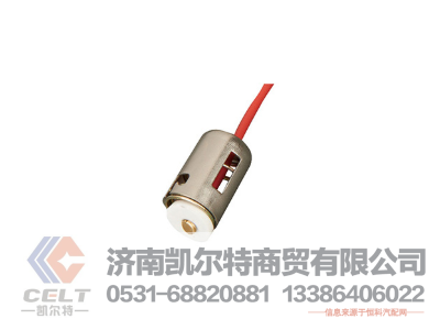 WG9925720001,燈座,濟(jì)南凱爾特商貿(mào)有限公司